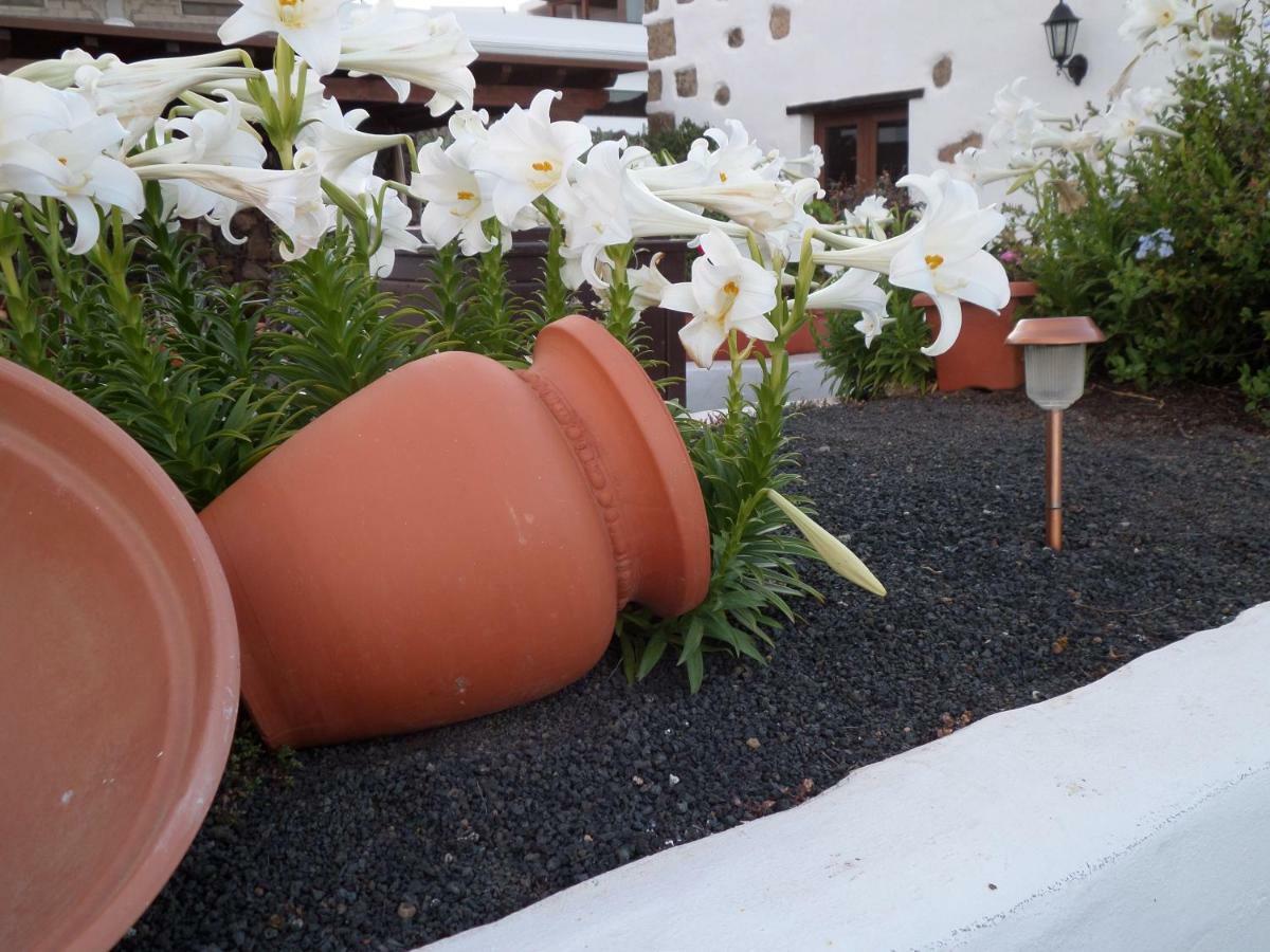 Finca De Los Abuelos Guatiza Zewnętrze zdjęcie